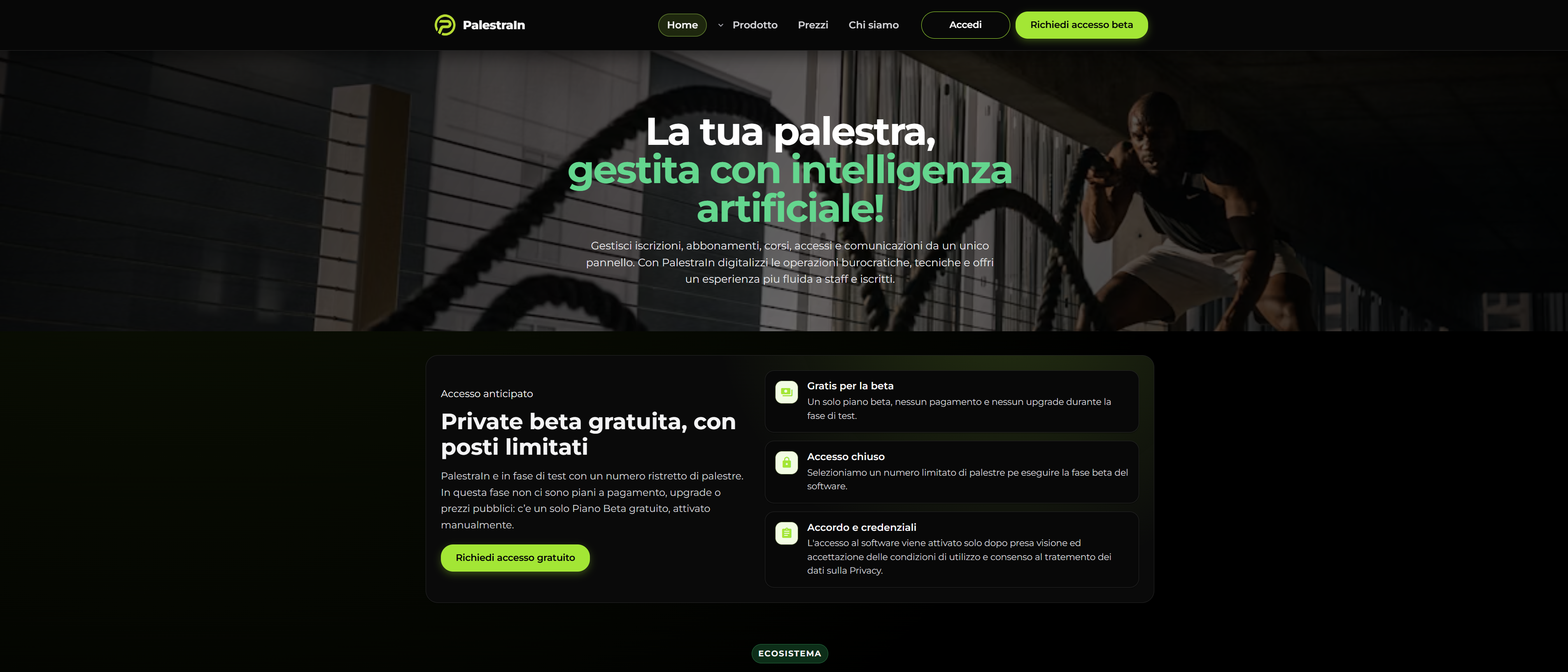 Anteprima sito web PalestraIn